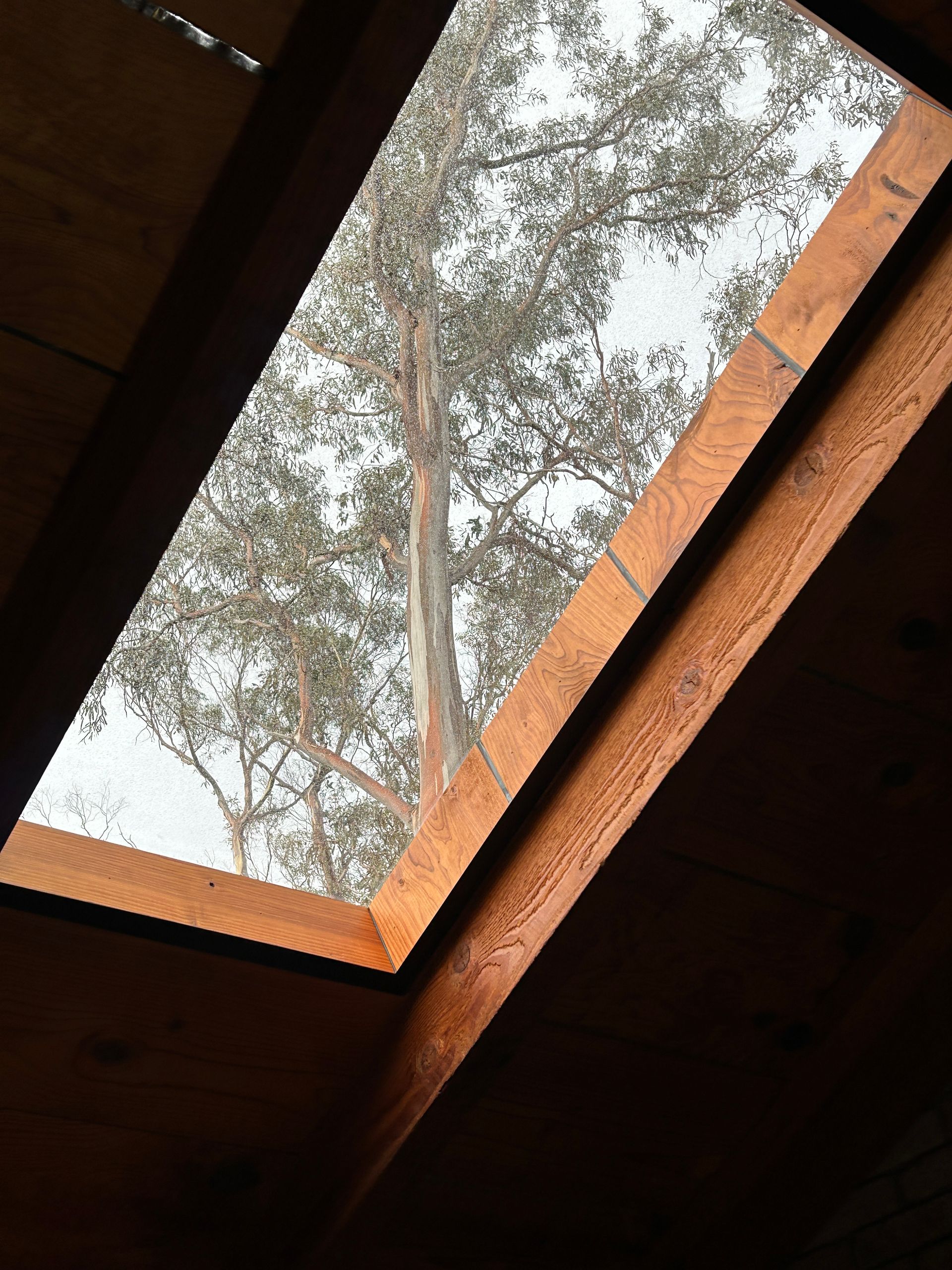 Fixed Glass - Lauderdale, TAS - Statewide Skylights
