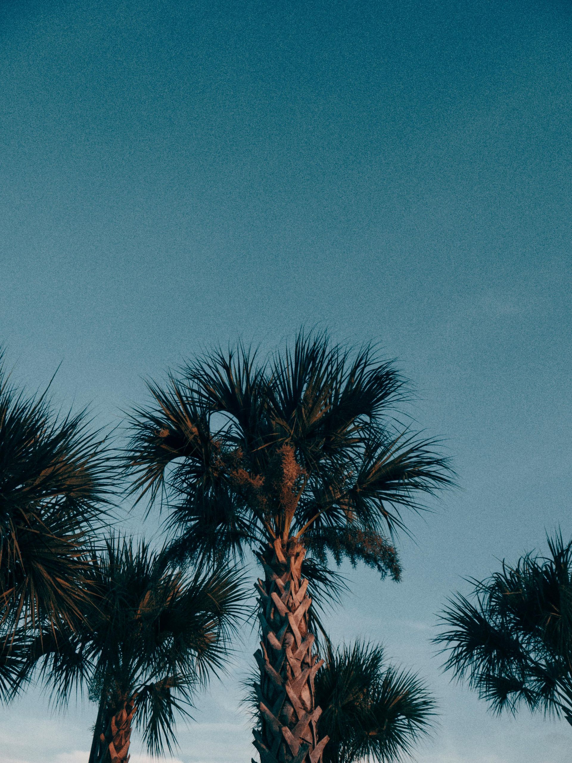An aerial view of a large white building with a red roof surrounded by trees and a lake.
