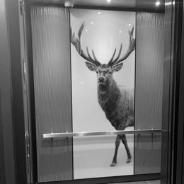 Elevator Cab Interior with Wall Panel Design of an Elk
