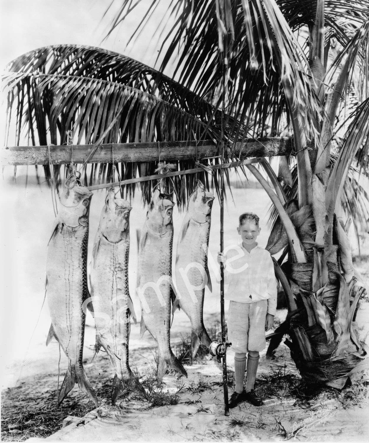 Historical Photo Of Boy Beside Fishes — Tampa, FL — Bob Baggett Photography Inc