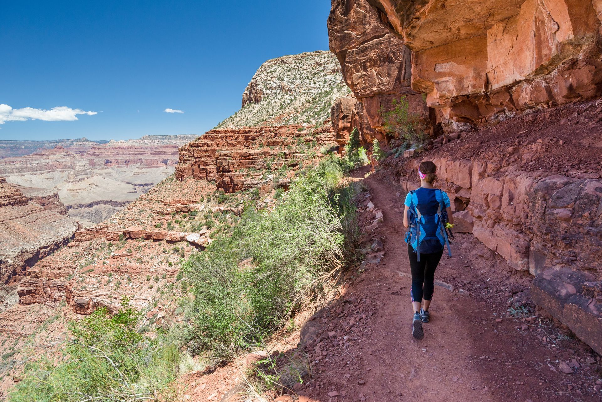 A person is walking down a trail in the desert.