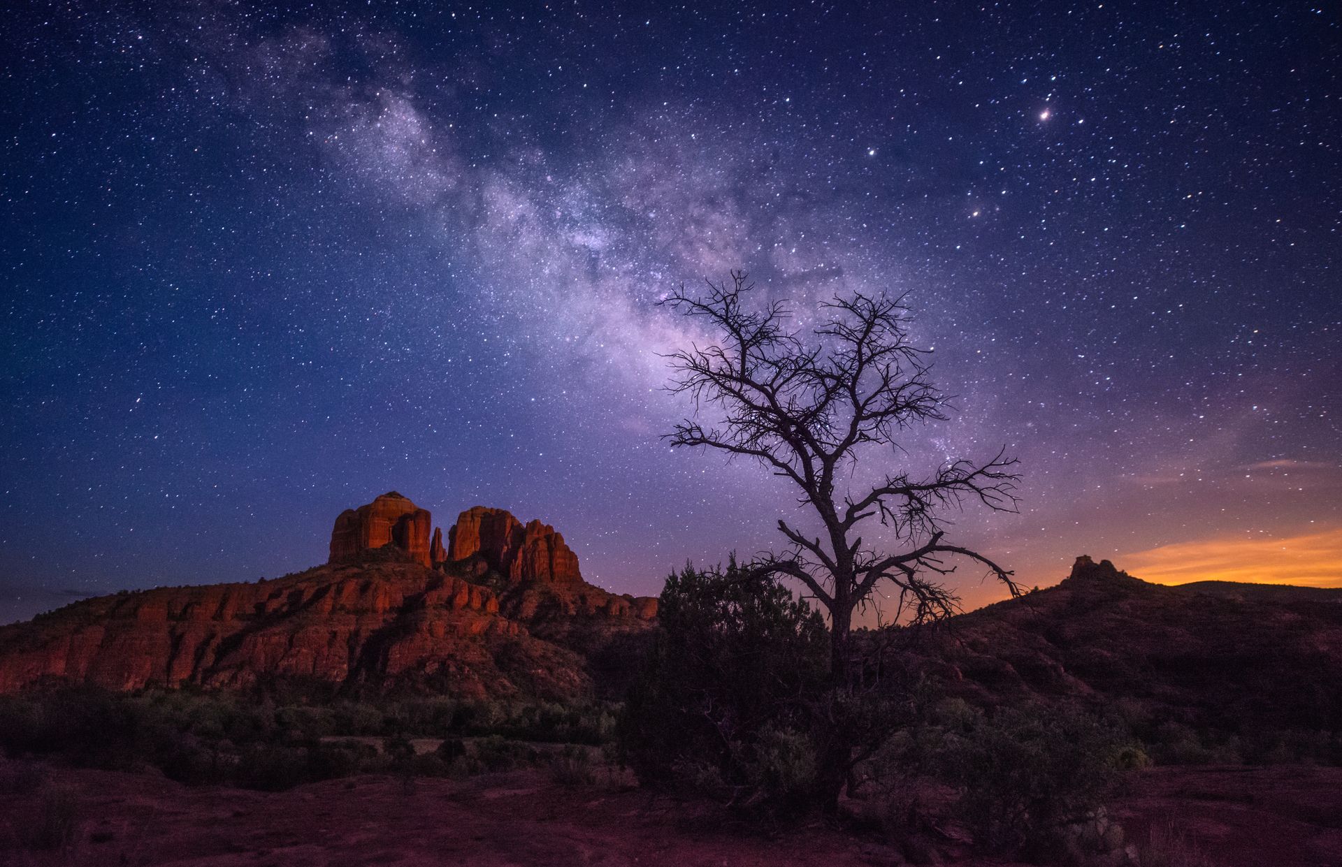 A tree is silhouetted against a starry night sky with a mountain in the background.