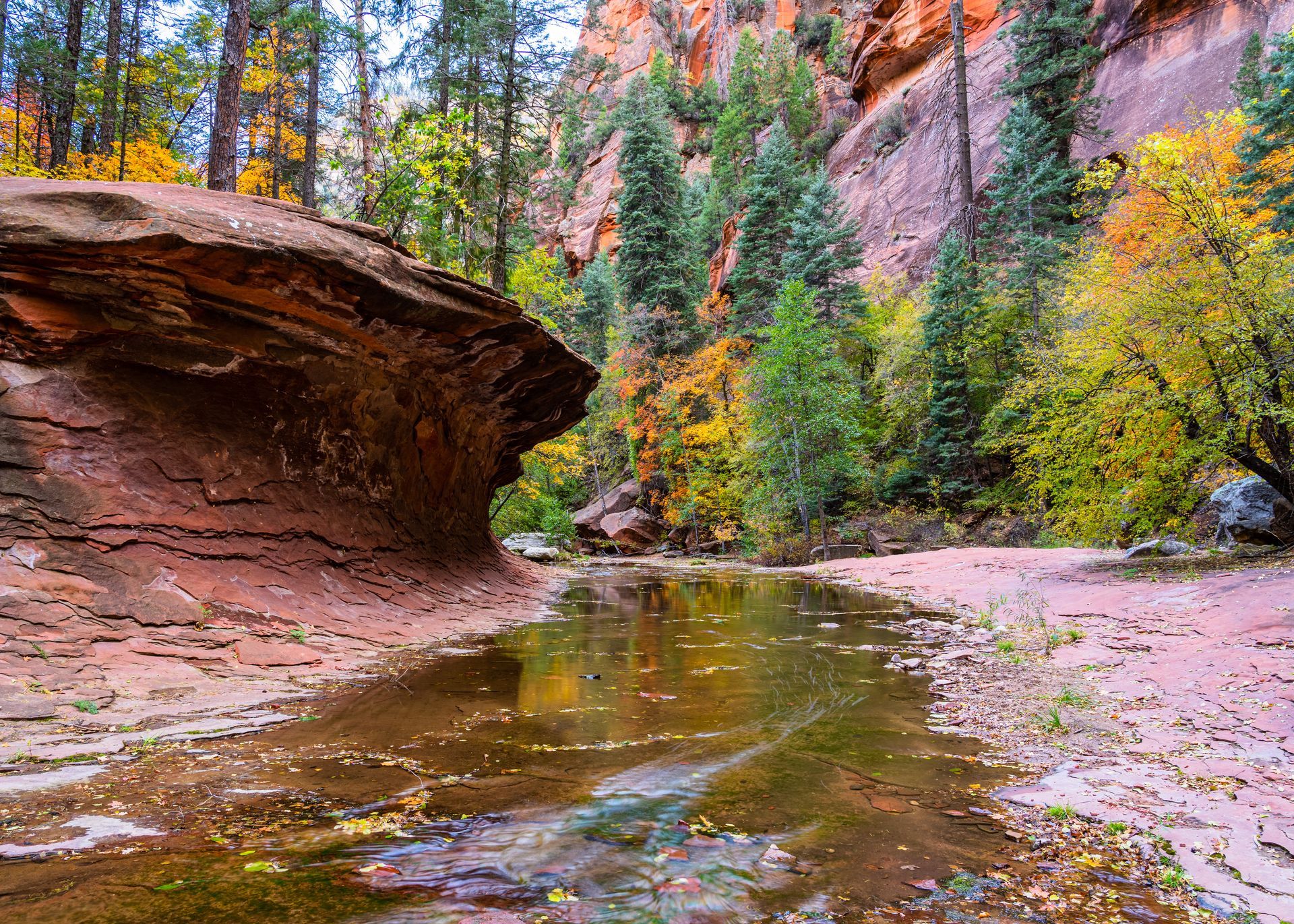 A river flowing through a canyon surrounded by trees and rocks.