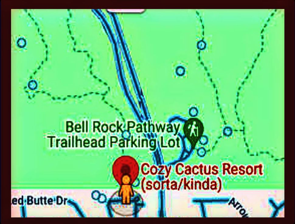 A map showing the location of a restaurant called cozy cactus