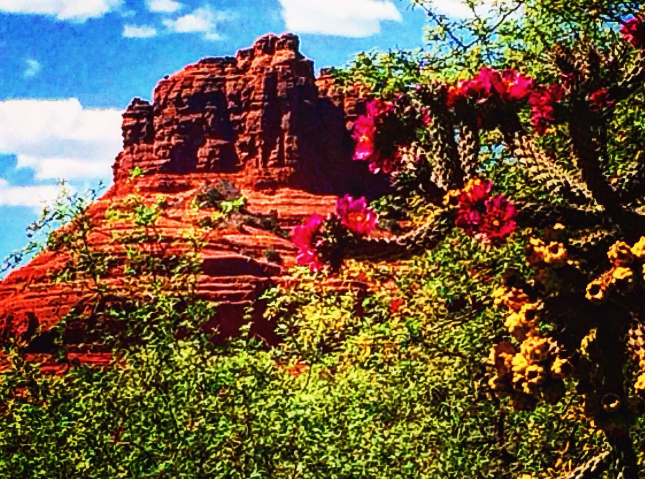 A painting of a mountain with flowers in the foreground