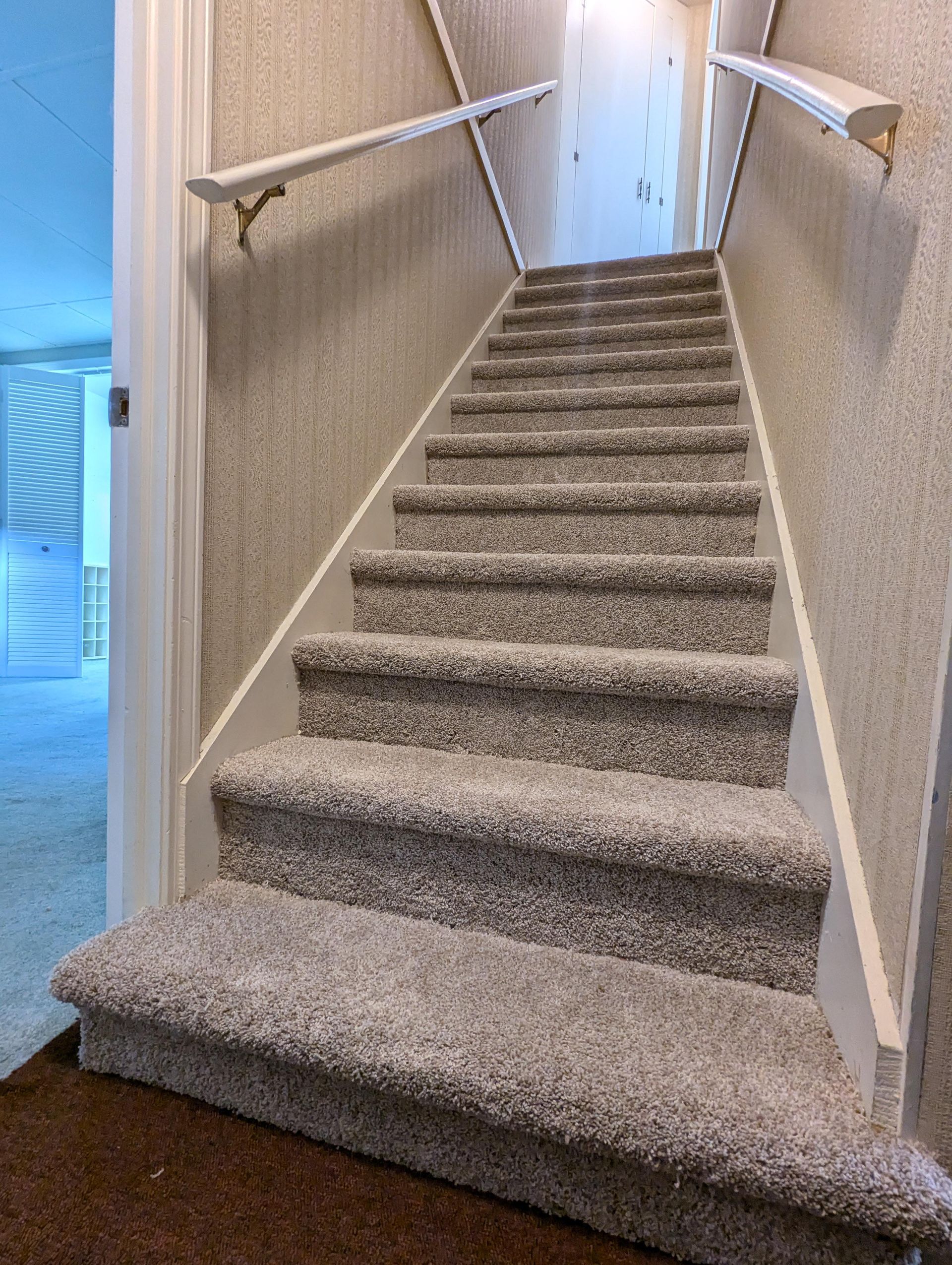 A set of carpeted stairs leading up to a basement.