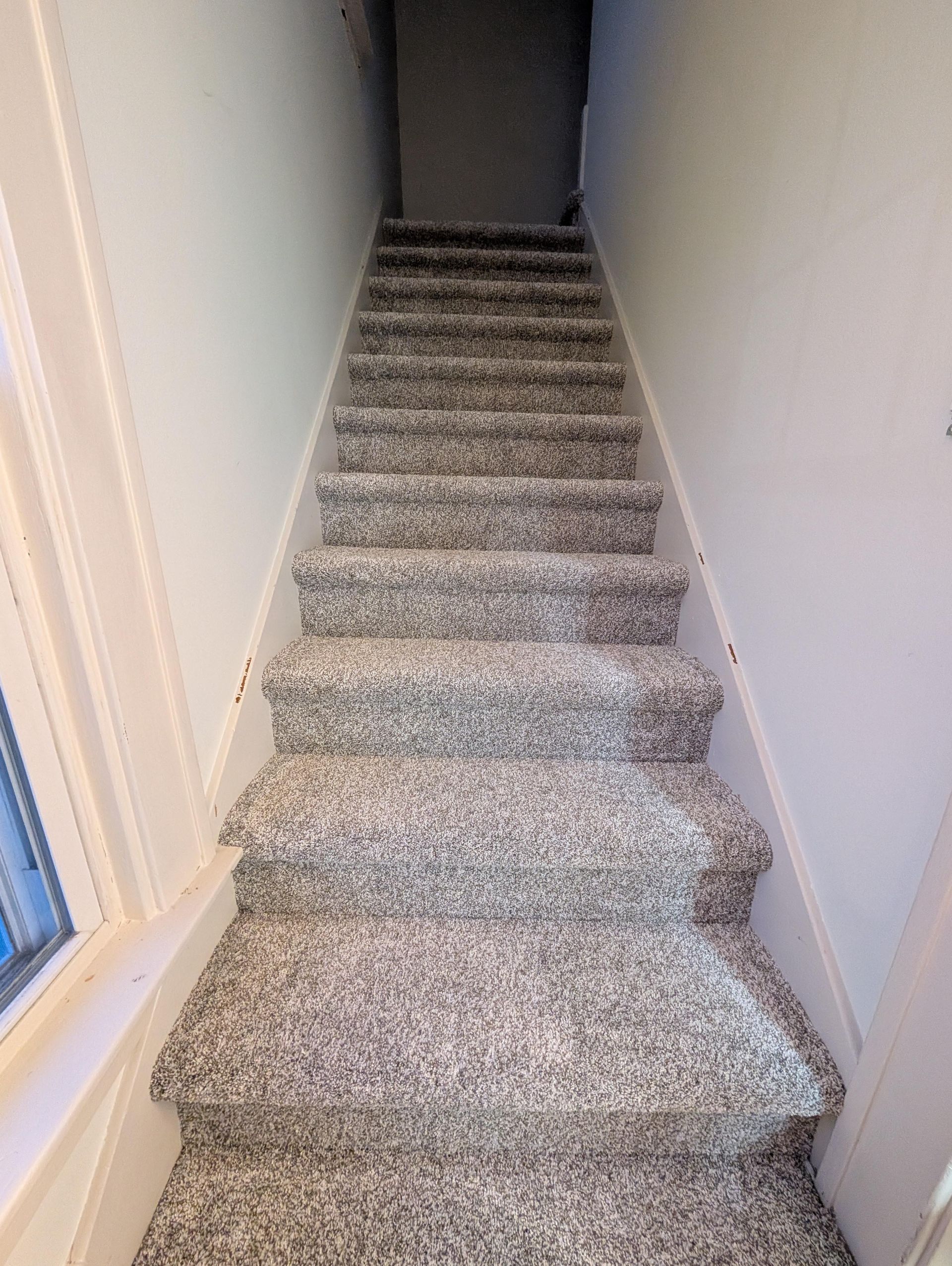 A set of carpeted stairs leading up to a basement.