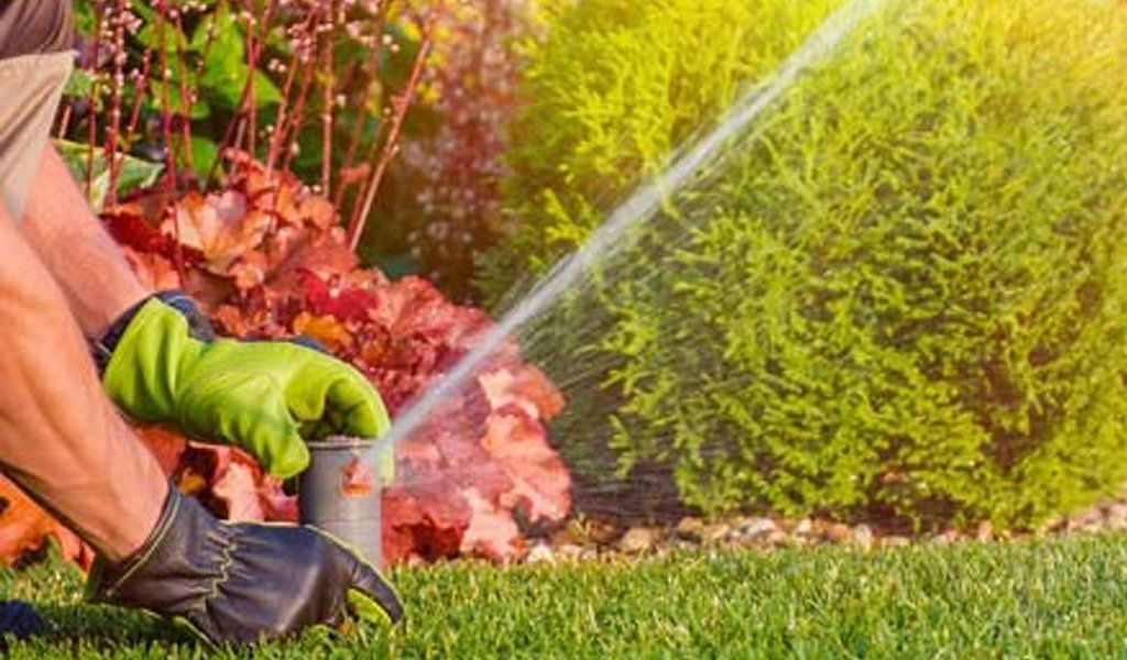 setting rotor sprinkler head