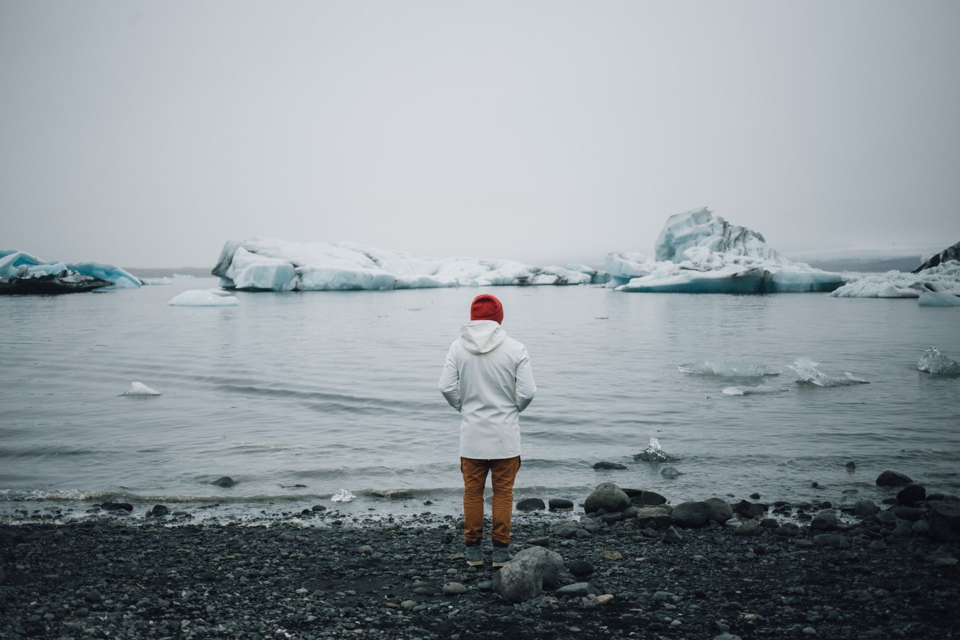 Person standing on a rocky shore, looking at icebergs in a cold, gray sea.
