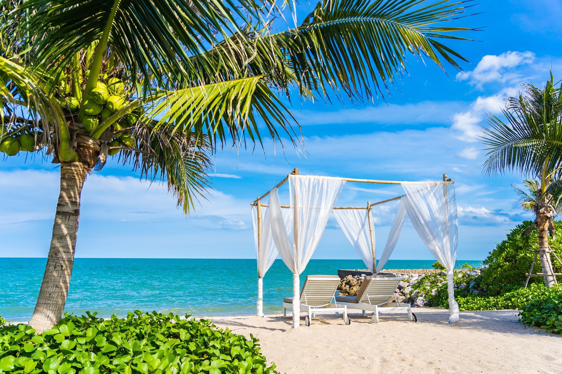 Beach scene with white canopy, palm tree, and turquoise water under a blue sky.