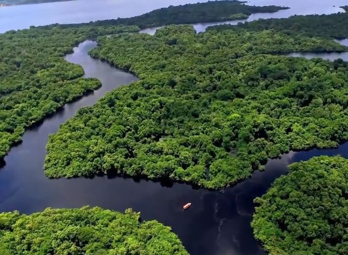Aerial view of lush green rainforest islands surrounded by dark blue river water.