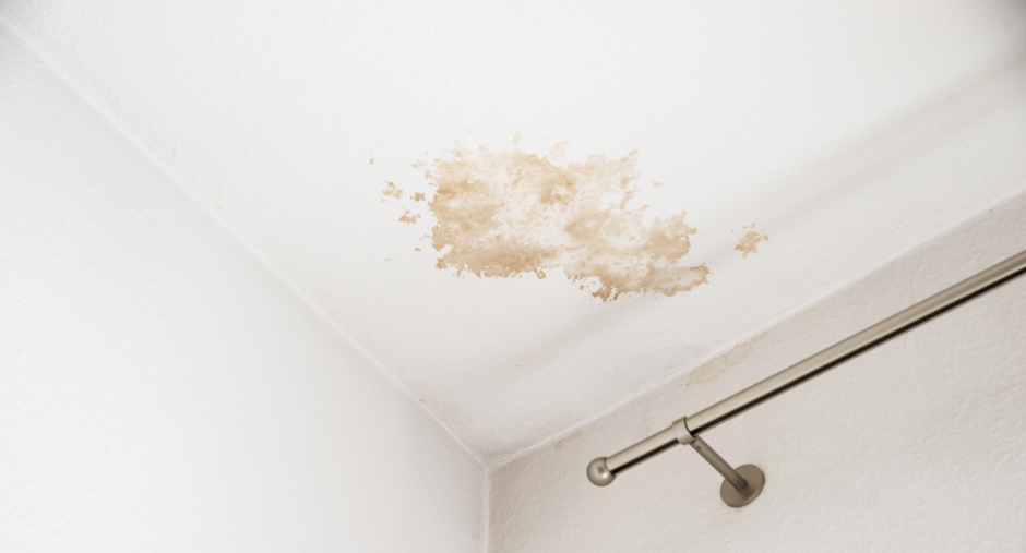 Water stain and peeling paint on a white ceiling above a shower curtain rod.