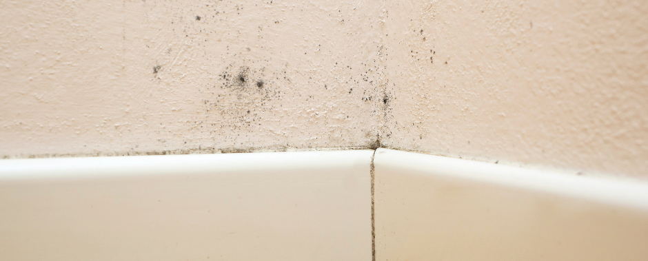 Black mold spots forming on a beige wall near a white baseboard corner.
