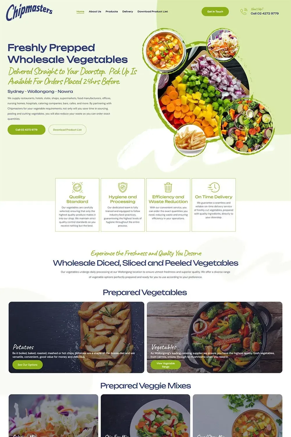 Chipmasters home page preview