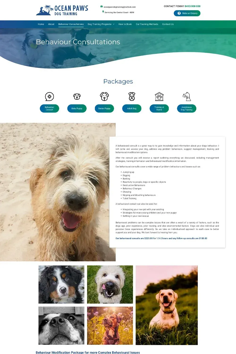 Ocean Paws packages page preview