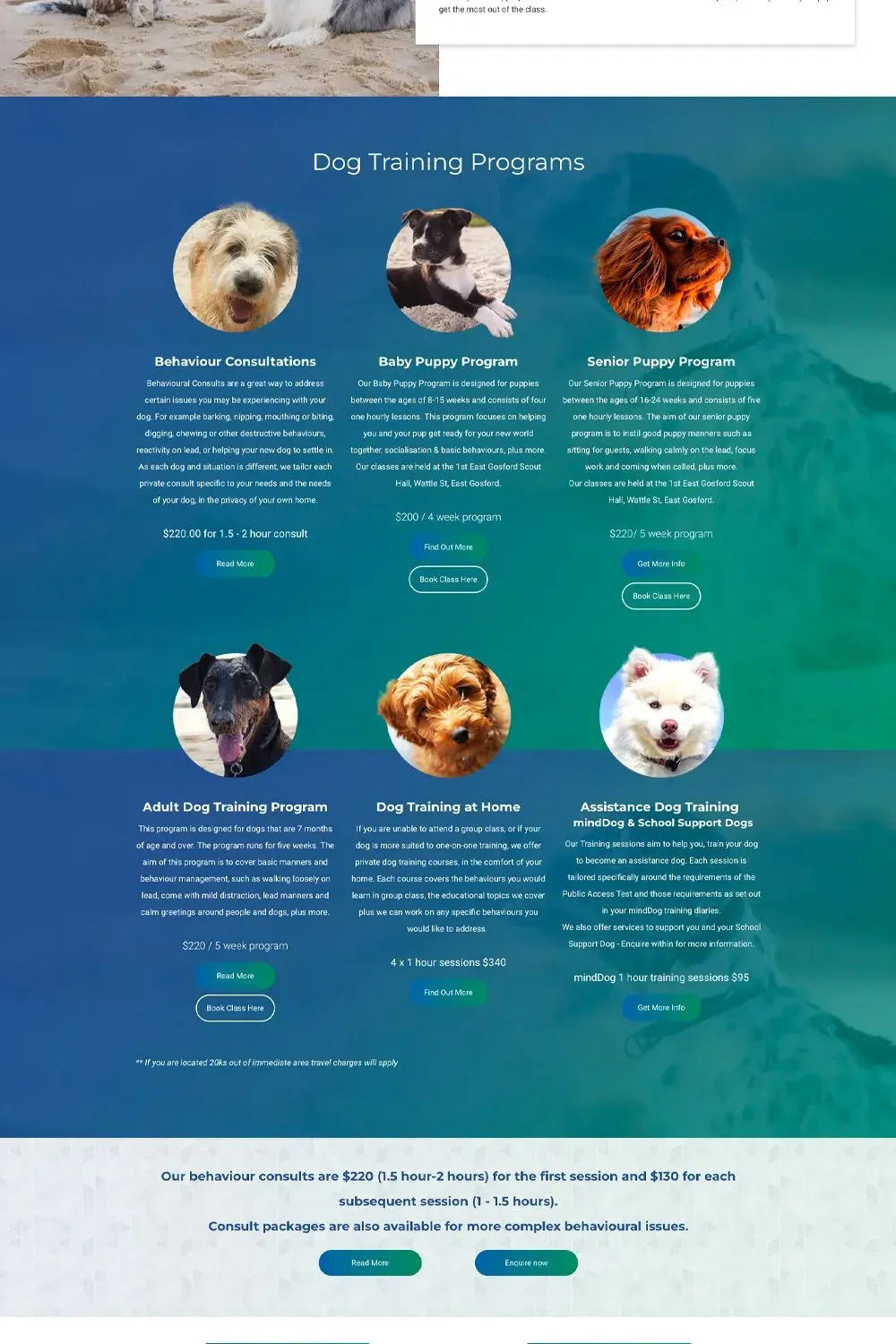 Ocean Paws home page preview #2