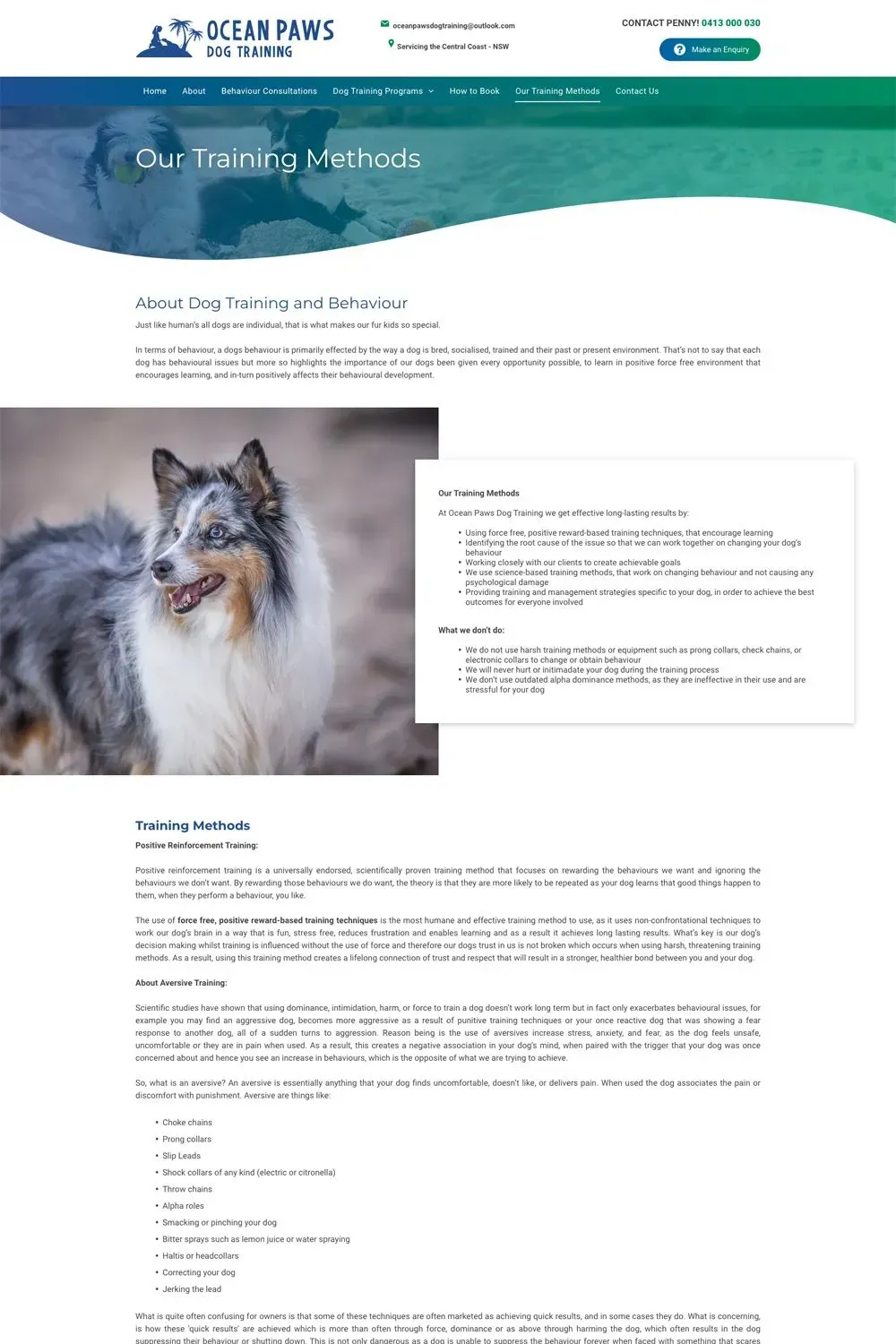 Ocean Paws internal page preview #2