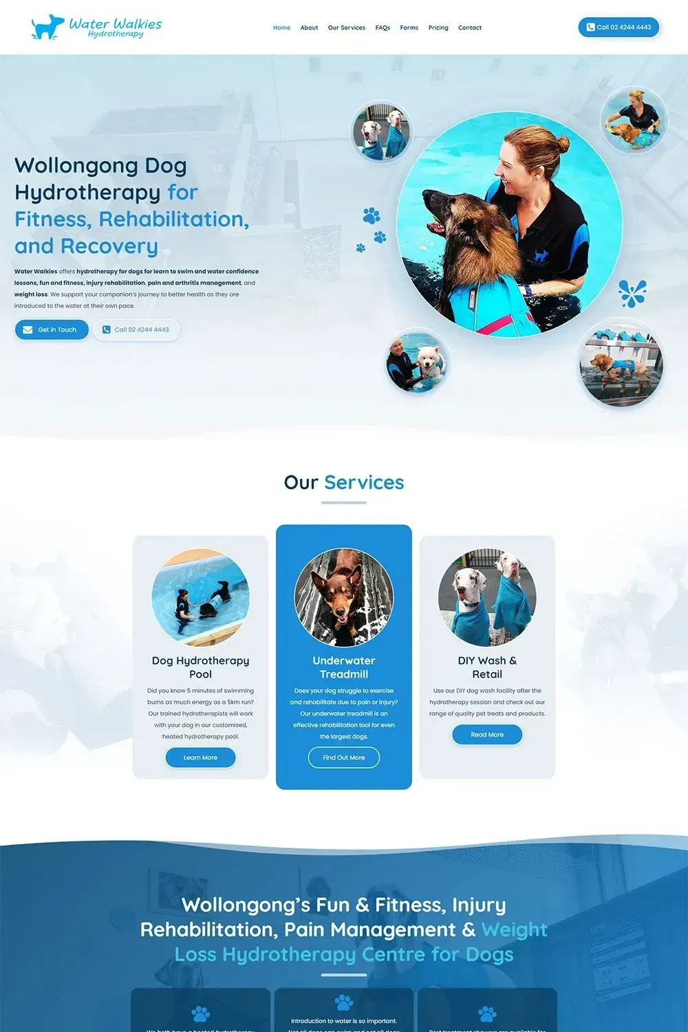 Water Walkies home page preview