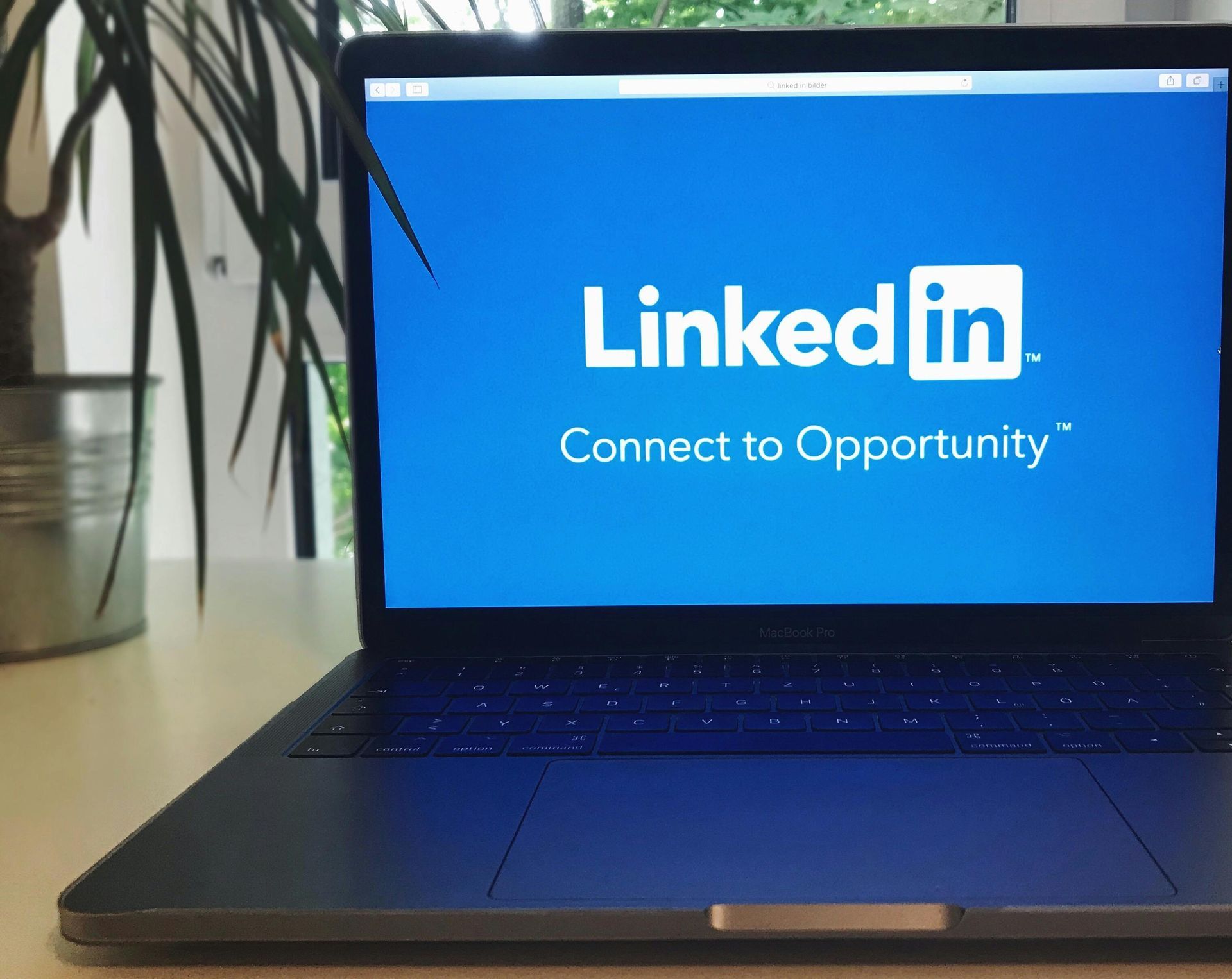 Laptop displaying LinkedIn logo and tagline on blue screen, with plant in the background.