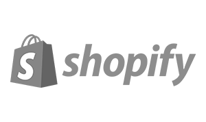  Shopify Partners