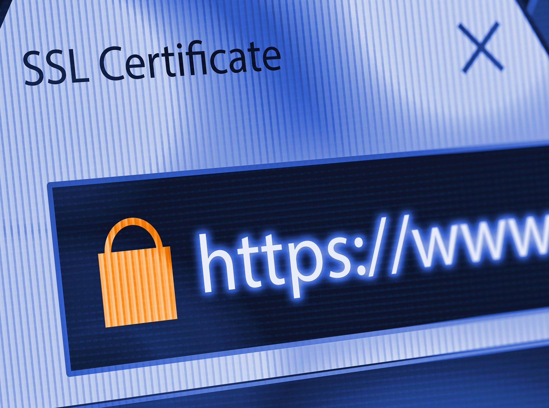 A computer screen displays a SSL certificate.