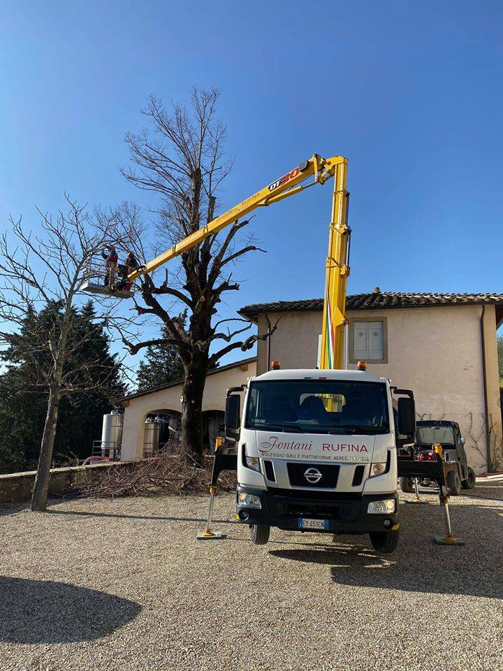 Piattaforma aerea taglio arbusti