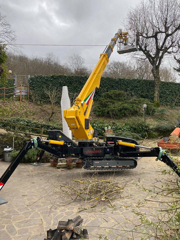 Piattaforma aerea taglio arbusti alto fusto