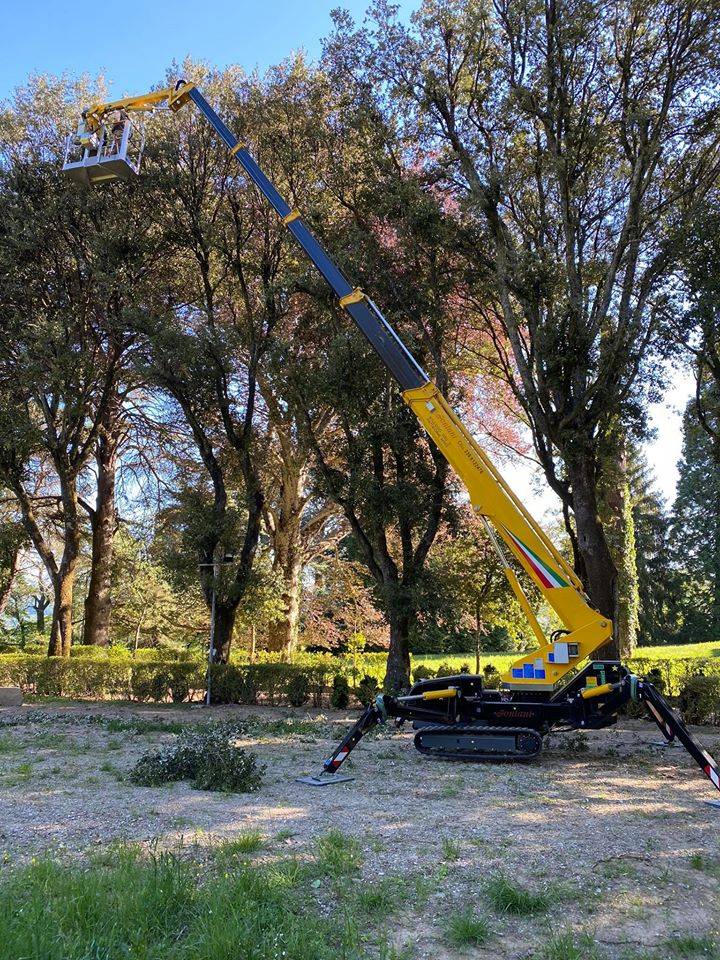 Piattaforma aerea per giardinaggio