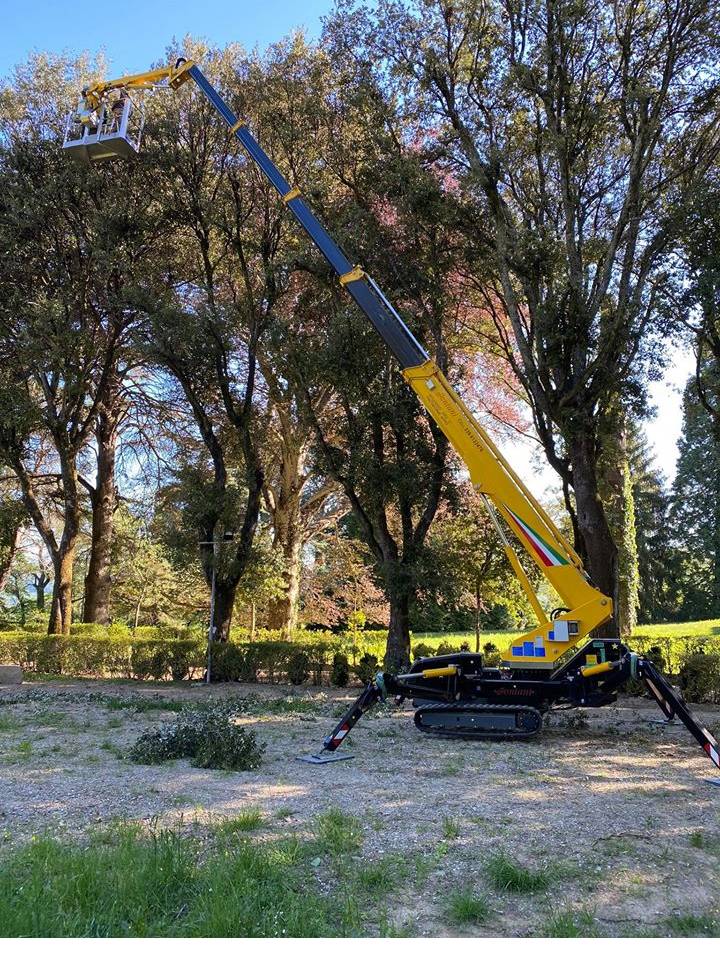 Piattaforma aerea per taglio alberi alto fusto