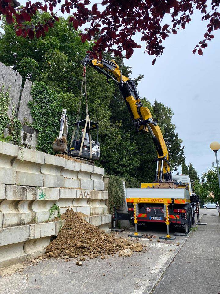 Autogru per grandi arbusti