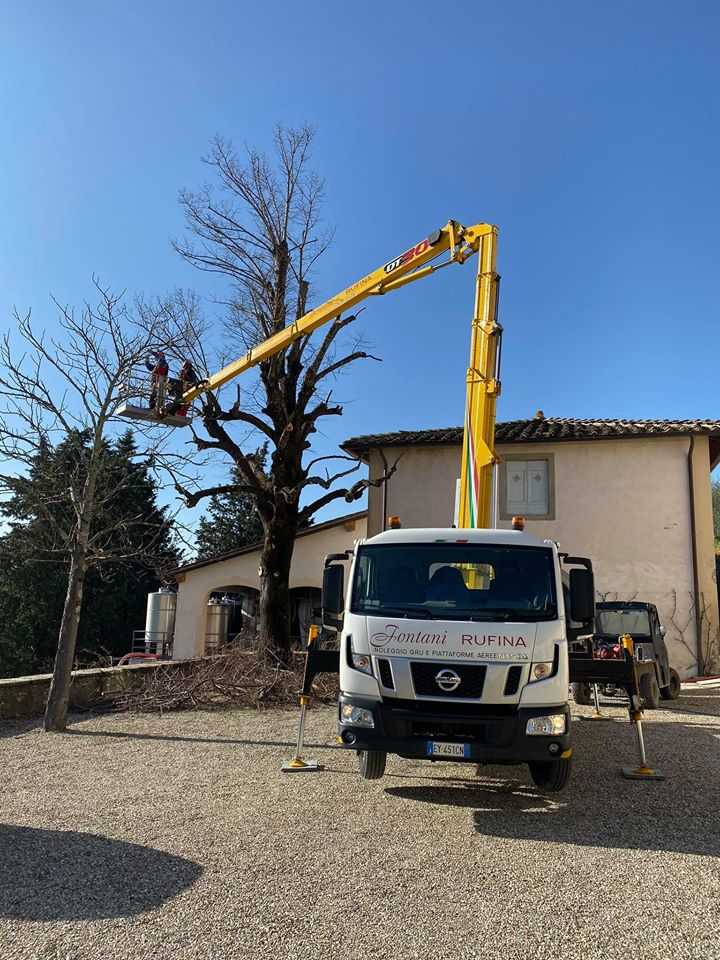 Noleggio gru taglio arbusti