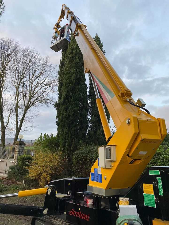 Noleggio gru potatura
