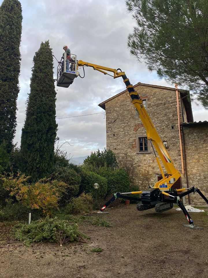 Noleggio gru taglio alberi