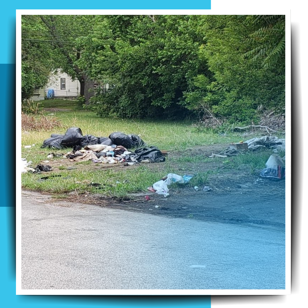 garbage in the property