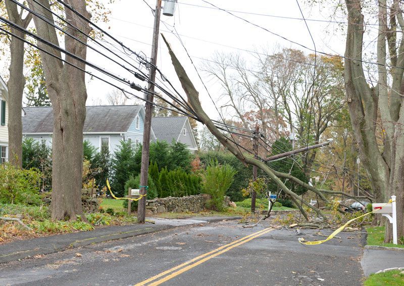 Storm Damage — Springville, AL — Harris Tree Service