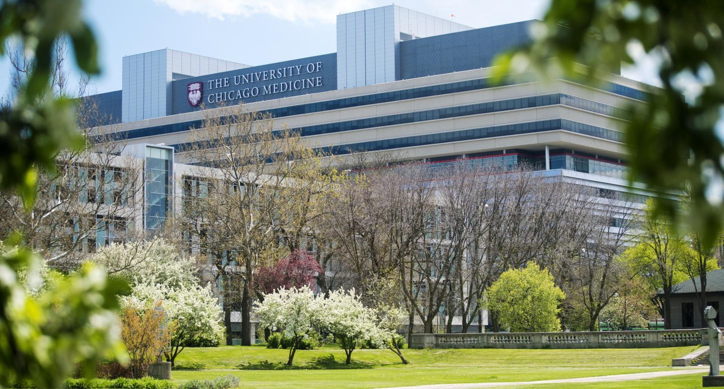 A large building with a lot of windows is surrounded by trees and grass.