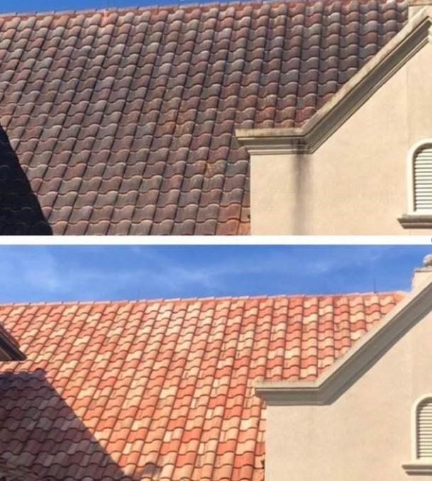 Softwash Projects Naples, FL EFX Softwash