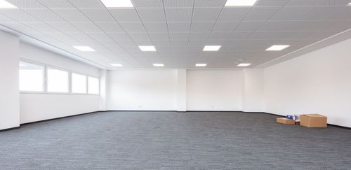 Empty, spacious office room with white walls, gray carpet, and ceiling lights.