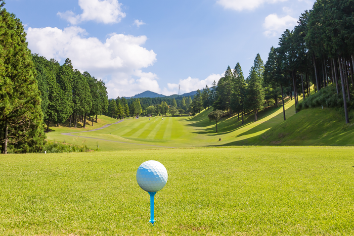 Golf Oasis Monroe - Photo 3