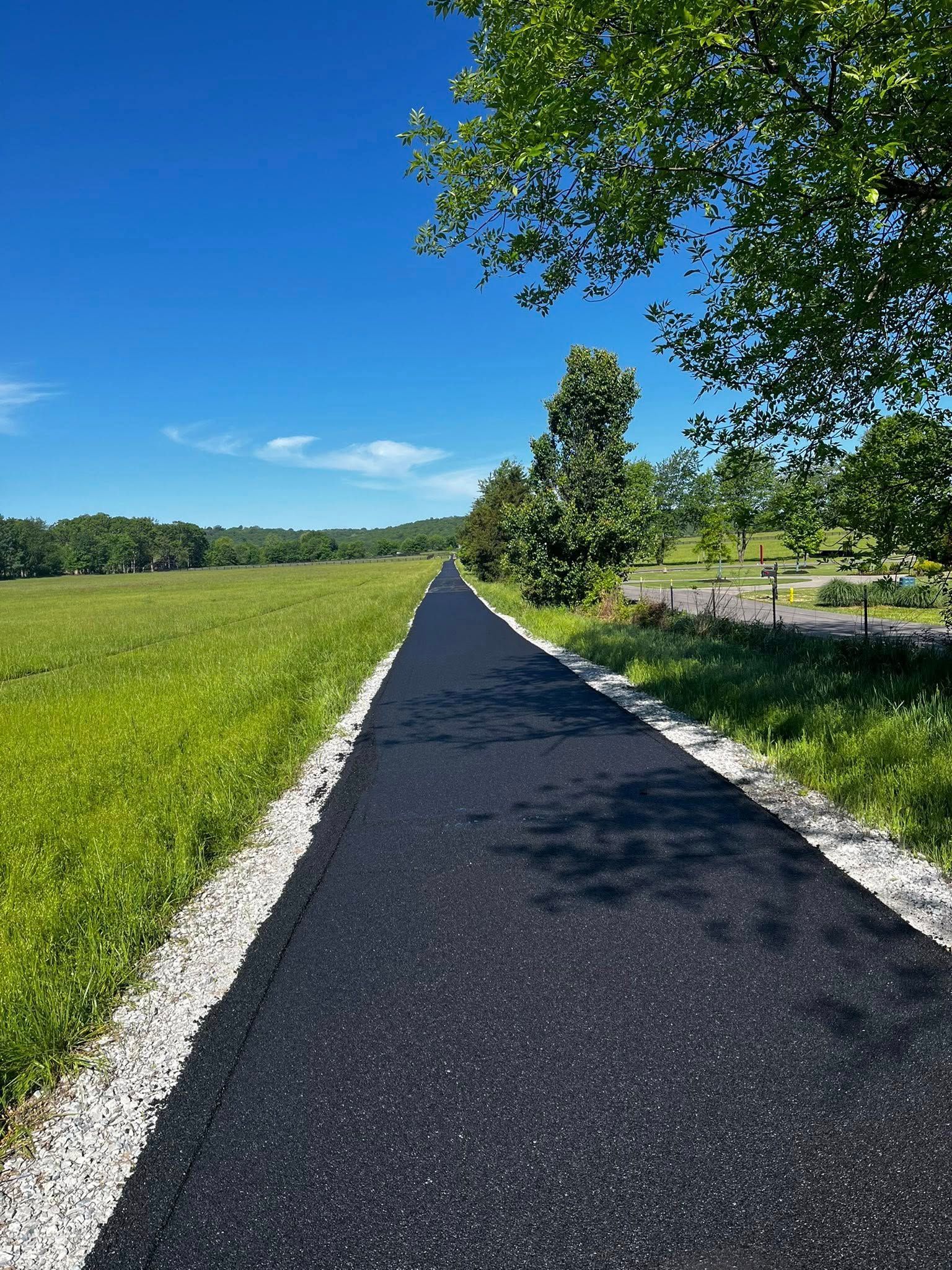 A road going through a grassy field on a sunny day