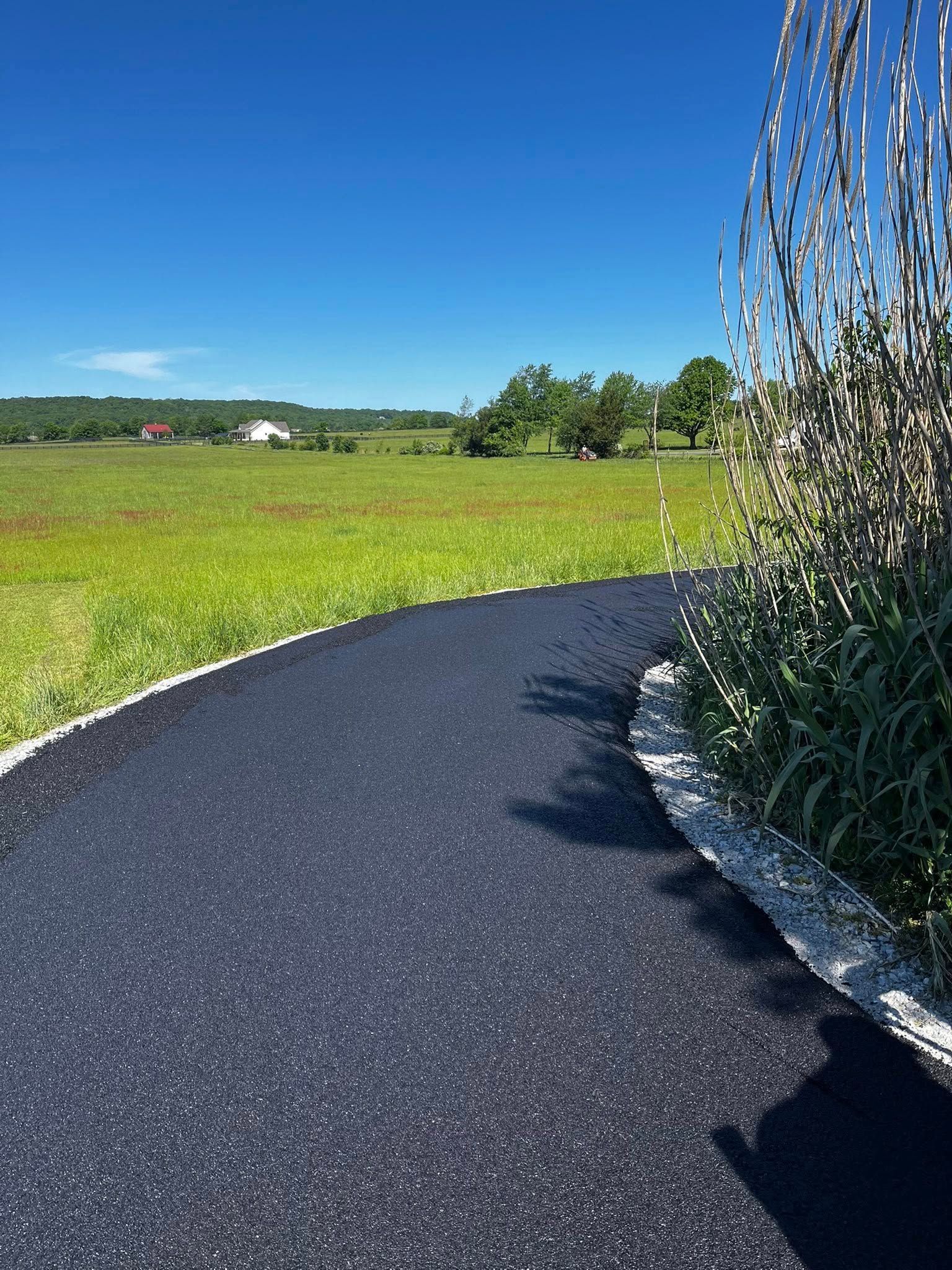 A road going through a grassy field on a sunny day