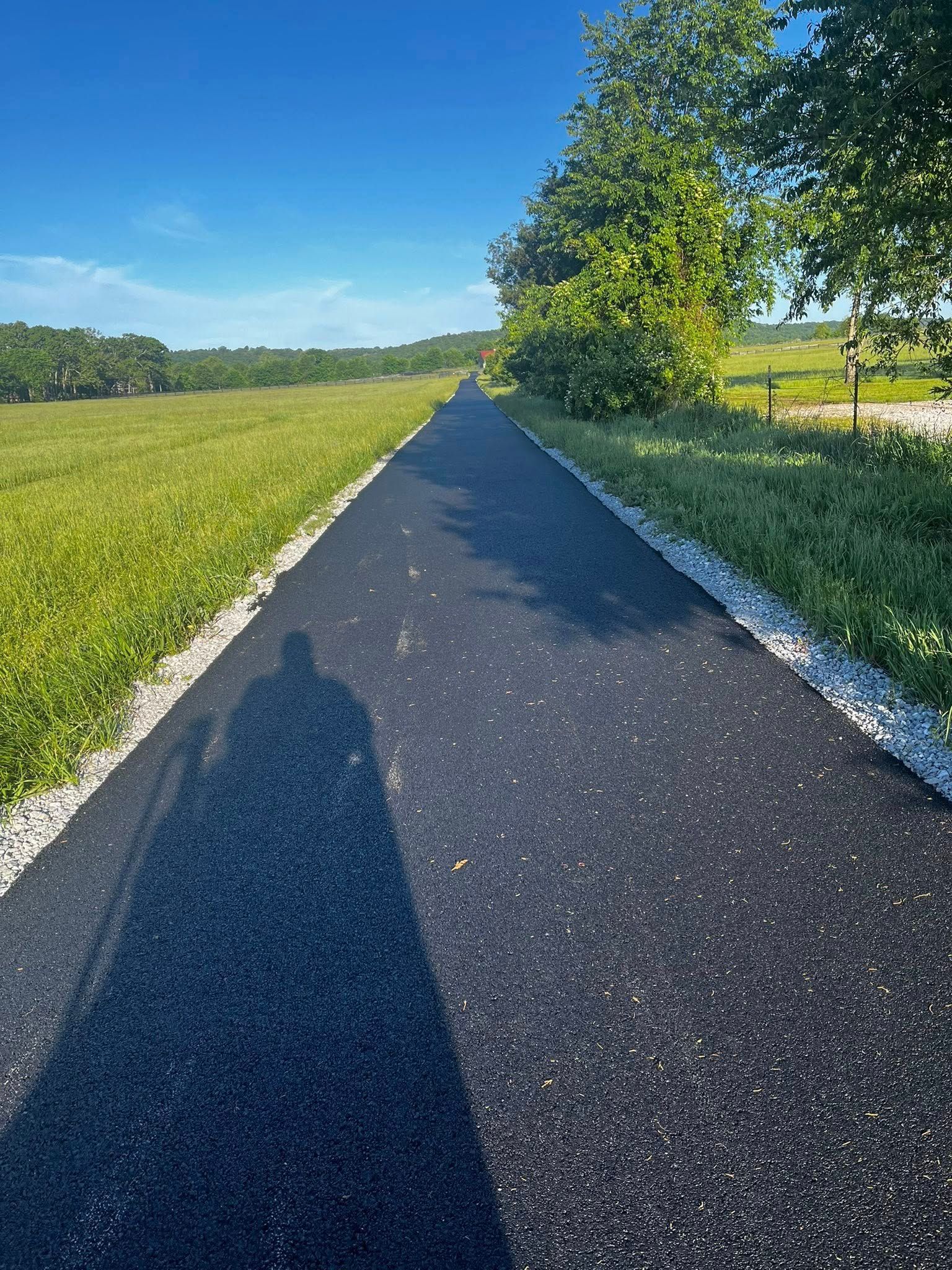 A shadow of a person is cast on the side of a road.