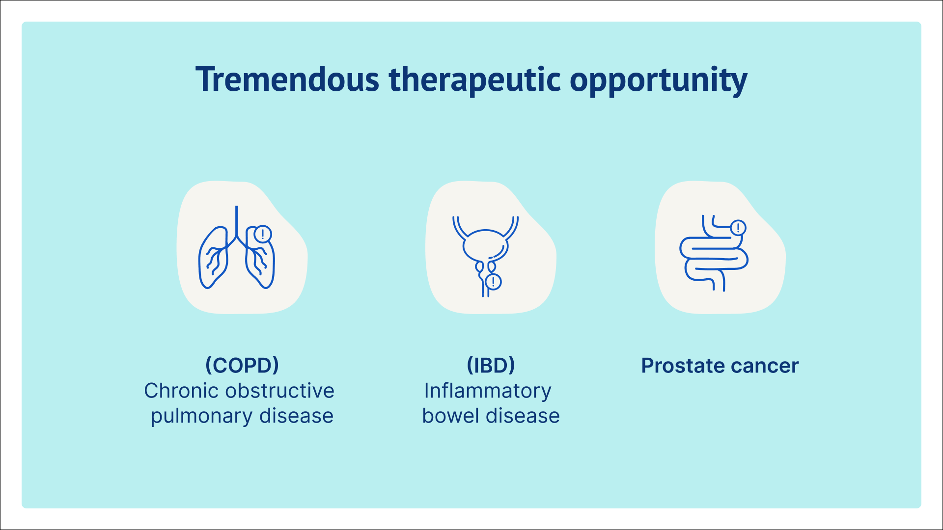 Esther de Boer, Twelve