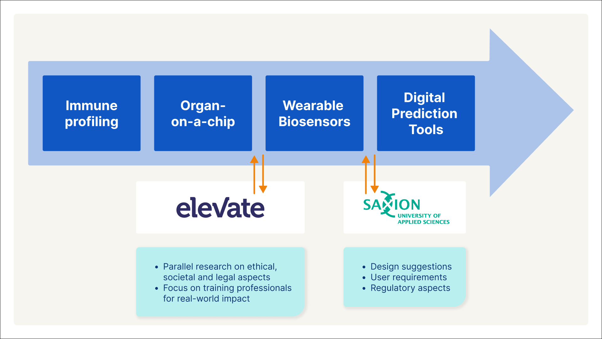 Esther de Boer, Twelve