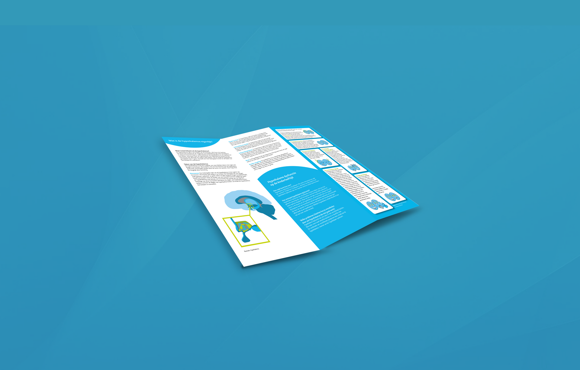 Esther de Boer, Informatiefolder hypothalamus