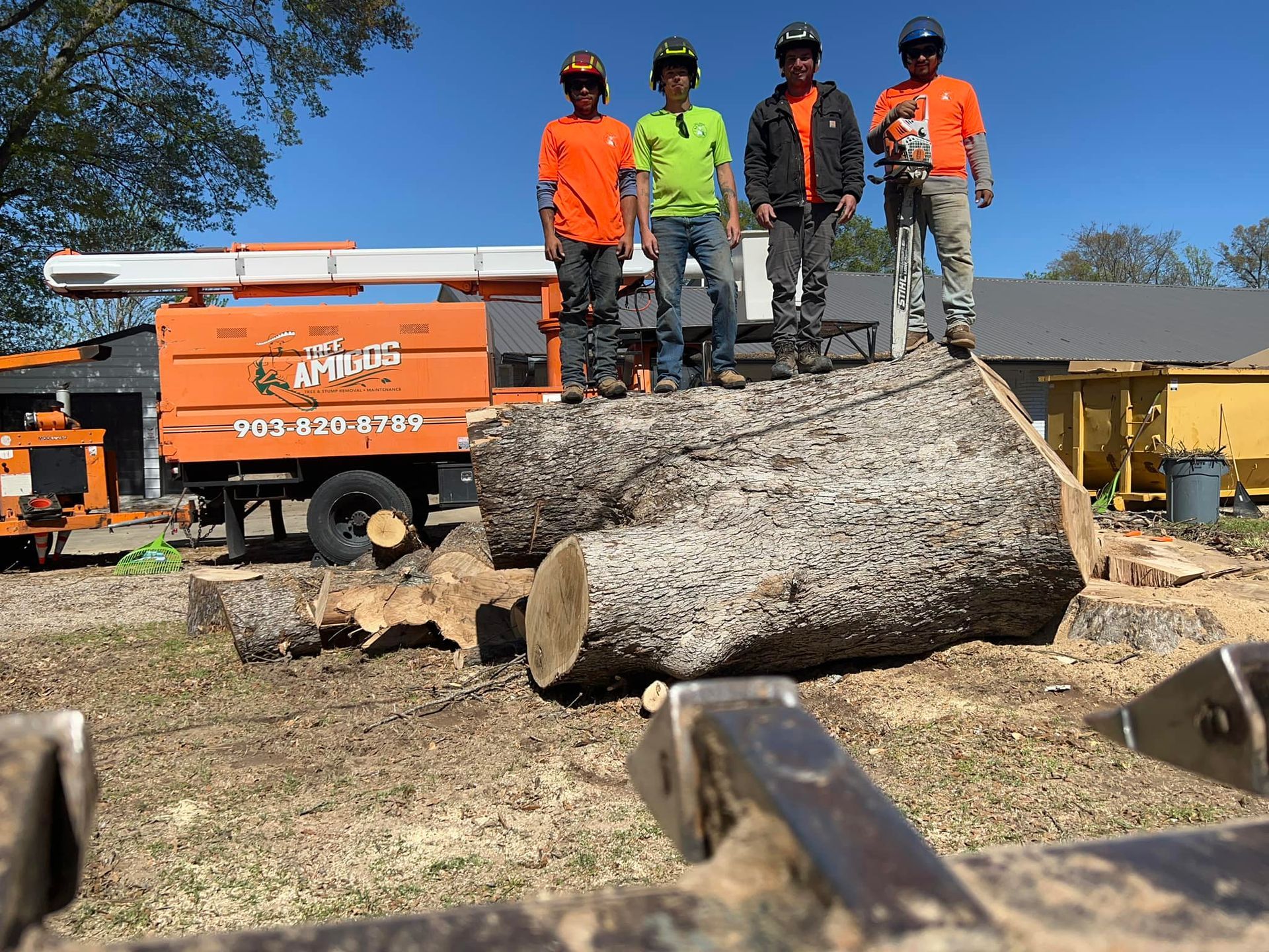 Four tree service workers stand atop a large log, with orange truck and equipment in a yard.
