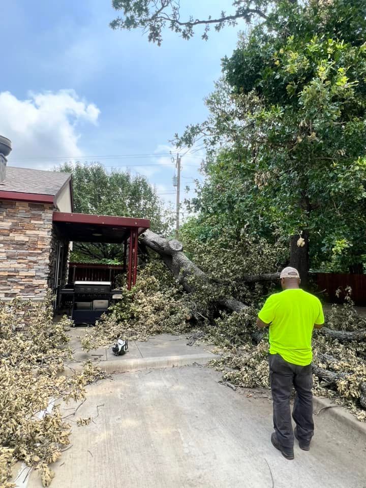 A man in a neon green shirt surveys a fallen tree blocking a driveway next to a house.