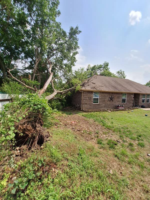 Tree fallen onto a house, blocking part of the roof. Roots exposed. Overcast, daytime.