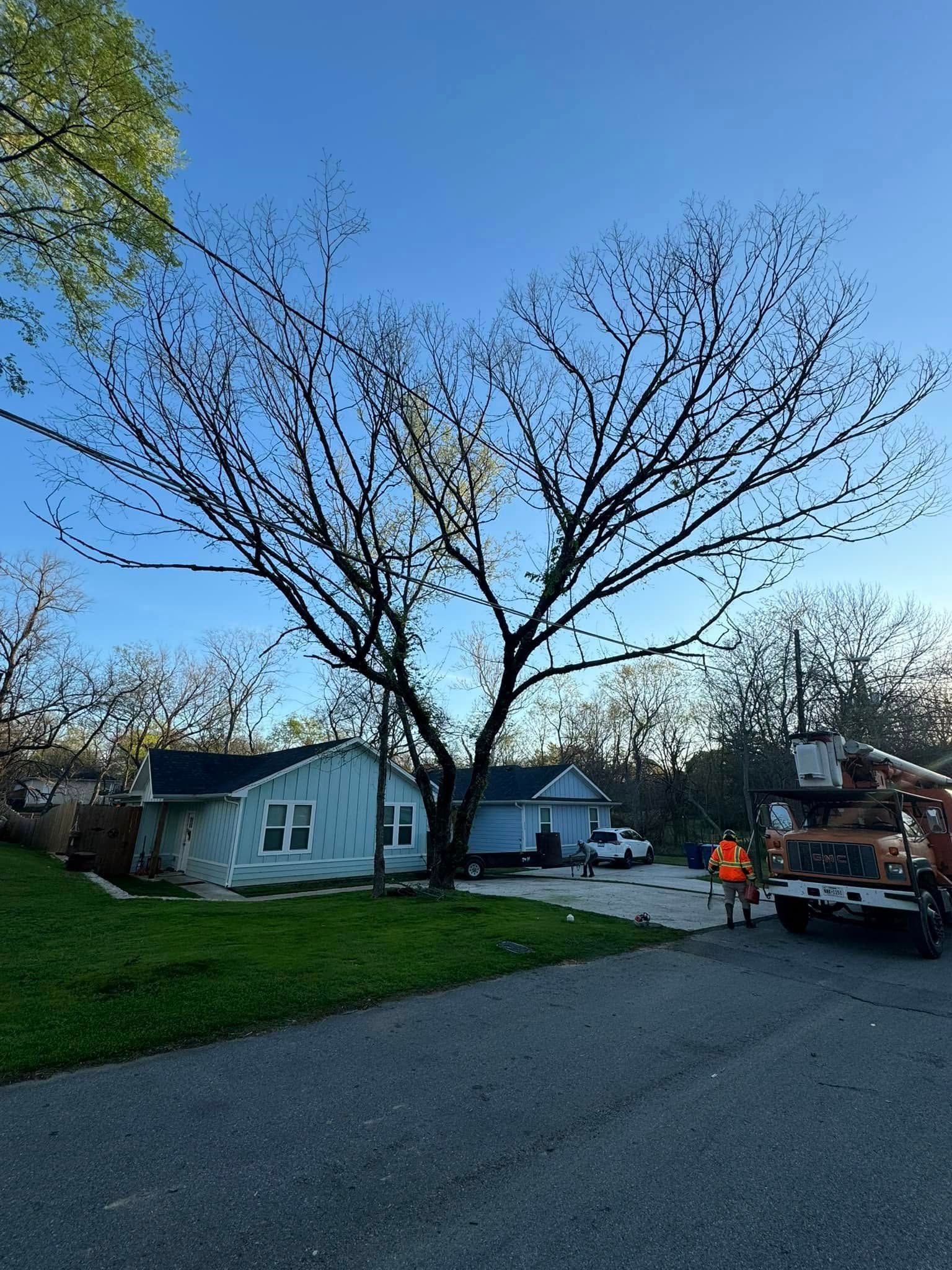Tree being trimmed near a house and utility lines by a worker on a lift truck on a sunny day.