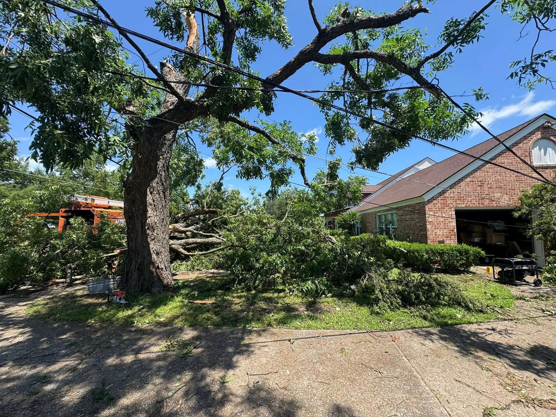 Tree damage in front of a brick house. Green leaves and branches strewn across a yard, with a truck visible.